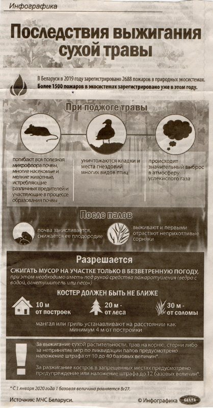 Газета "Дняпроўская праўда" №29  от 11.04.2020 "Последствия выжигания сухой травы"