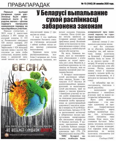 Газета "Вольное Глыбокое" № 13 от 26.03.2020